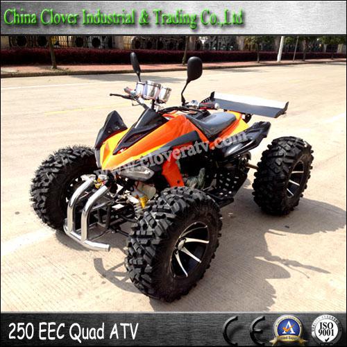 250cc Racing ATV Quad Bike ATV Adults Street Legal ATV with 14 Inch Alloy Wheel