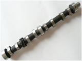 China Camshaft for Weifang Ricardo Engine 295/495/4100/4105/6105/6113/6126 Engine Parts on sale 