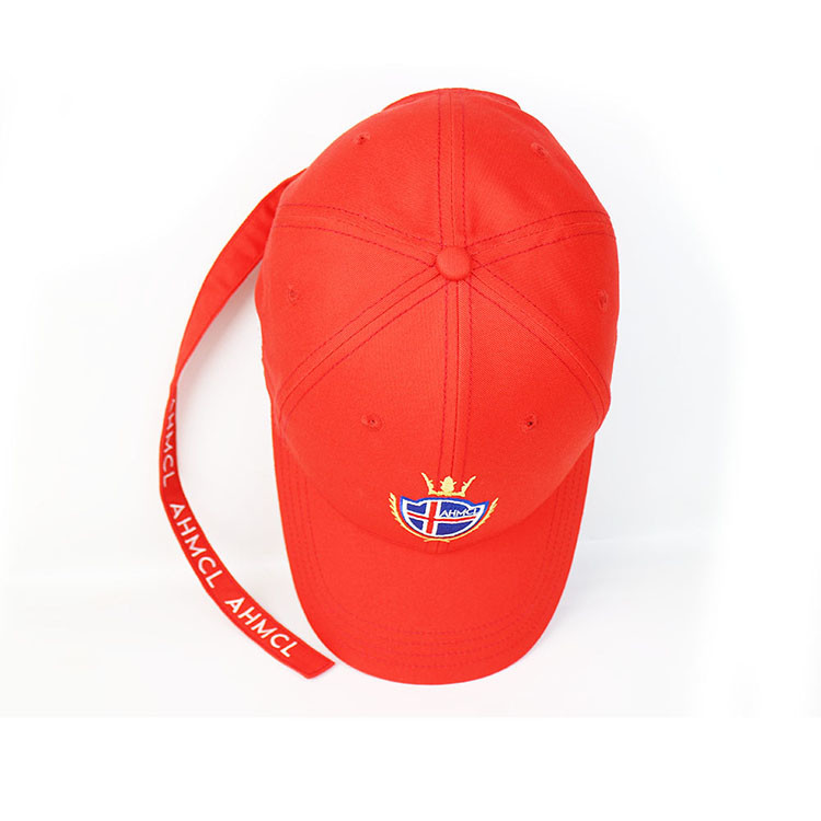 survivor generic Snapback Baseball Hat Adjustable Cap 