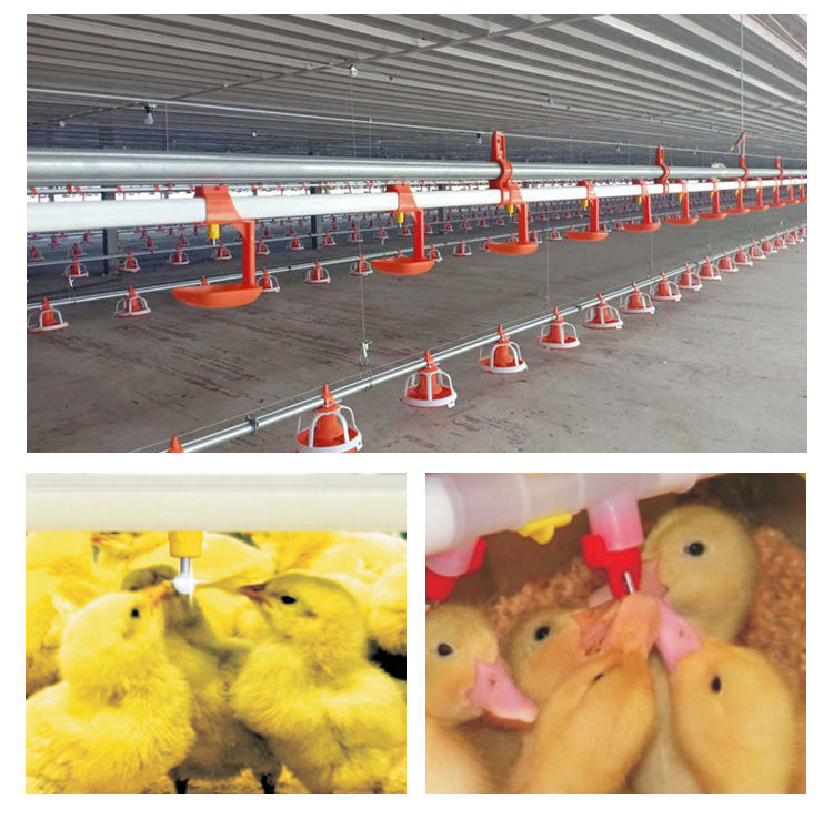 Automatic feeding pan line chicken feed line 1