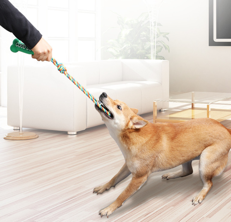 dog teeth cleaning chew toy