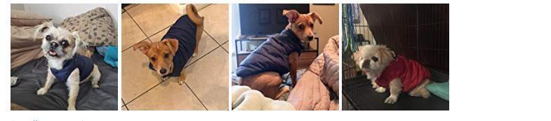 Soft Polyester Fabric Small Dog Jacket Puppy Coats