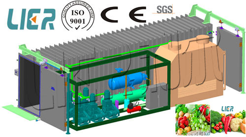 Vegetable &Fruit Fast Cooling Machine/Vacuum Cooler