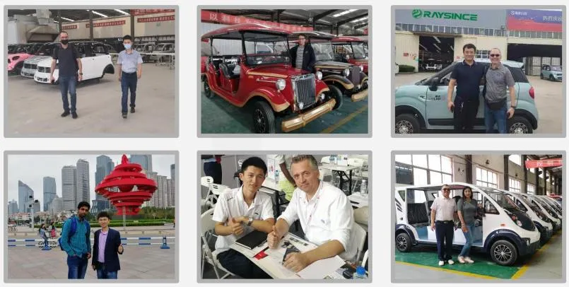 Raysince Factory Price High Speed Electric Car China Supplier Hot Sales New Energy Car with Four Seats and and Five Door