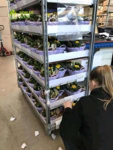 China Danish Trolley Flower hand trolley Plastic Shelf Supermarket Exclusive Use Customized trolleys on sale 