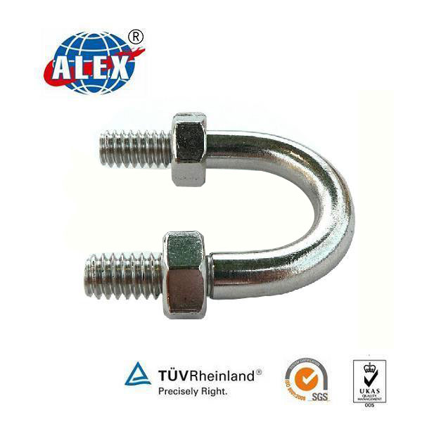 Stainless Steel AISI304/316 U Bolt with Washer Plate and Nuts