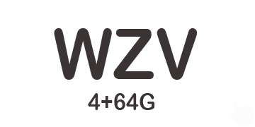 WZV 4+64 Introduction