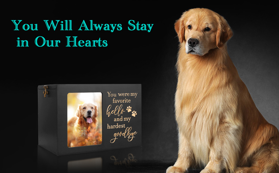 Pet Urns for Dogs Ashes