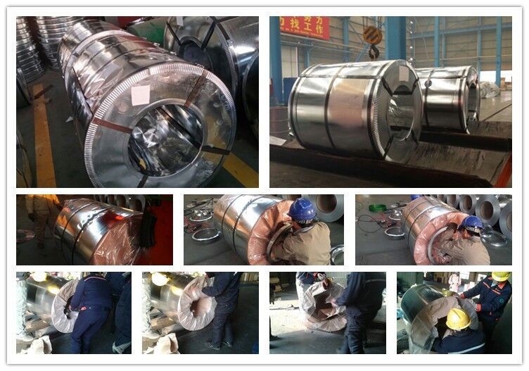 dx51d z200 Prepainted Cold rolled/Hot Dipped Galvanized Steel Coil