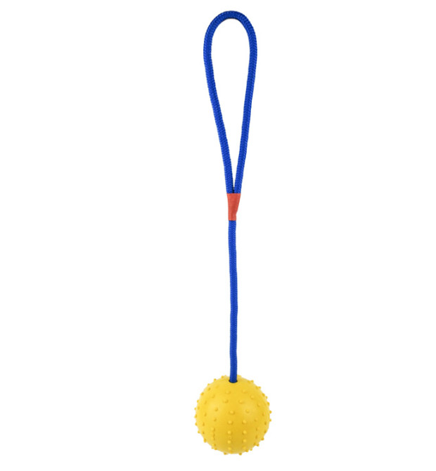 dog rope toy with ball