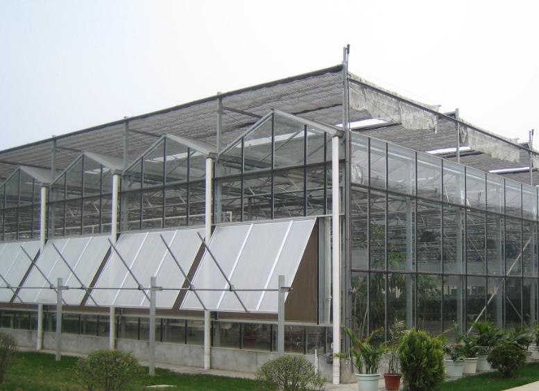 Hydroponics Stromal Humidity Control Multi-Span Seedling Glass Greenhouse