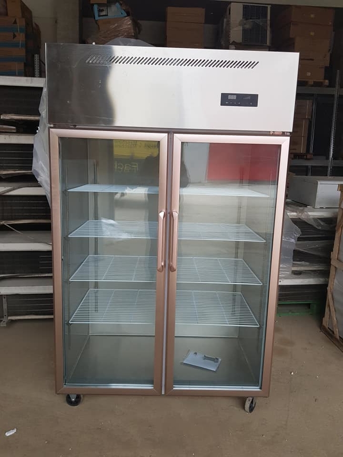 Double door large capacity commercial glass door stainless steel reefer freezer 5