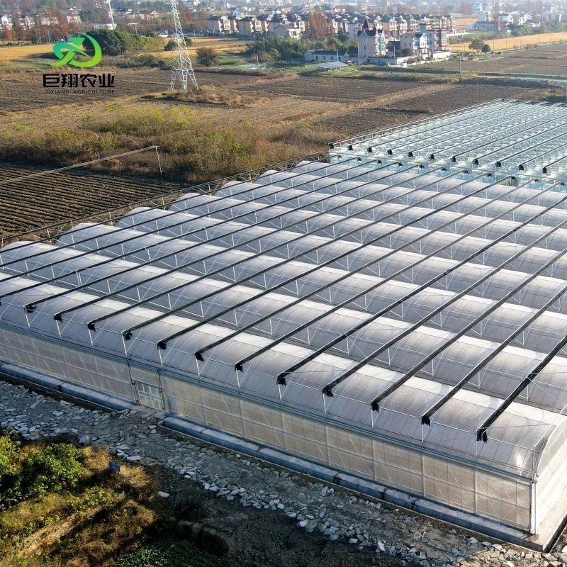 Glass Roof Hydroponic Greenhouse for Flower Growing