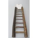 9-step natural bark wood bird ladders,for big conure and medium sized parrot