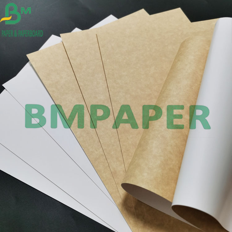 250g Moisture - Proof Food Grade White Coated Kraft Paper With Brown Back