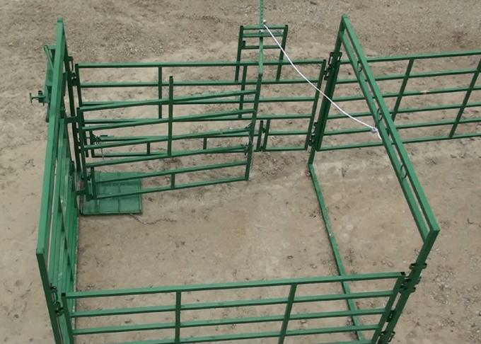 Sliver Portable Horse Panels , Horse Corral Fencing Livestock Panel