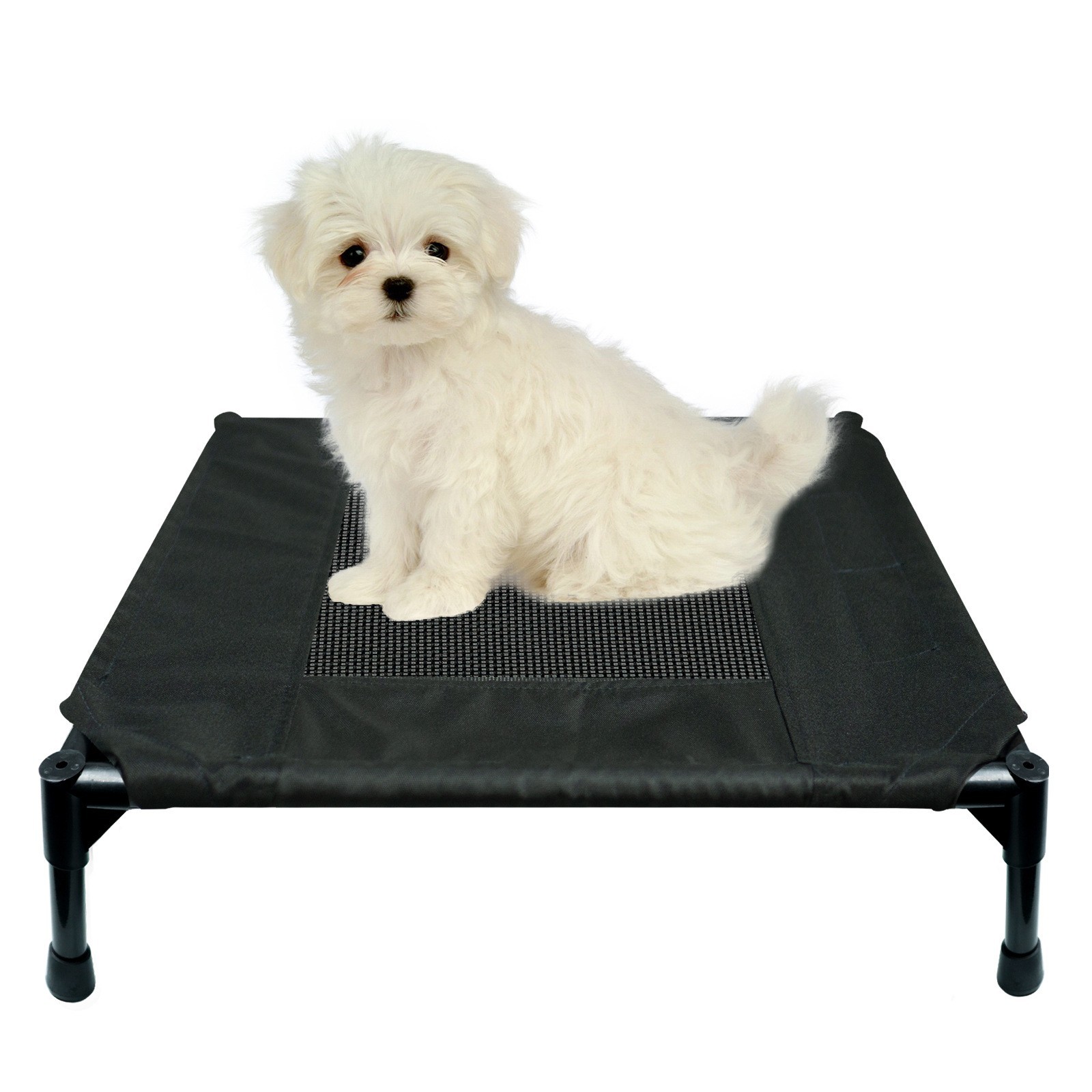 high rise dog bed