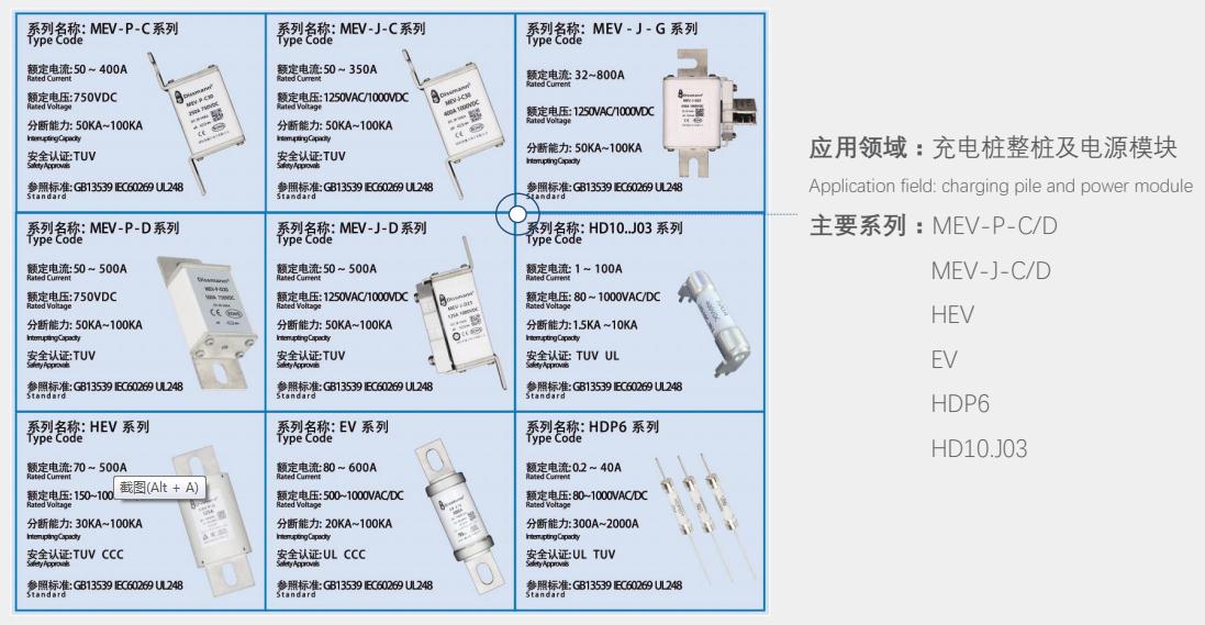 DC750V Electric Vehicle Fuse High Rupturing Capacity Fuse UL Certified EV Fuse Made In China