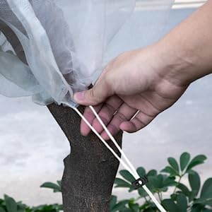 Garden Plant Fruits Blueberry Bushes Protection Netting Covers Bags with Drawstring
