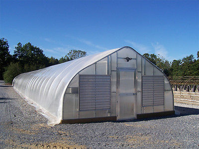 Single Span Steel Frame Tunnel Greenhouse With Plastic Covering 0