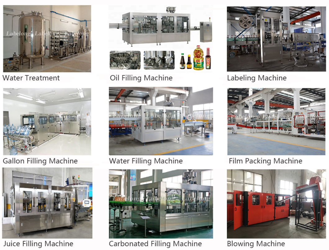 Automatic Bottle Can Filling Liquid Nitrogen Injector for Water Beverage Line