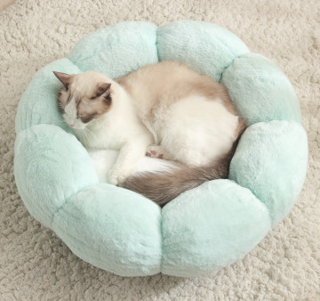 circular cat bed