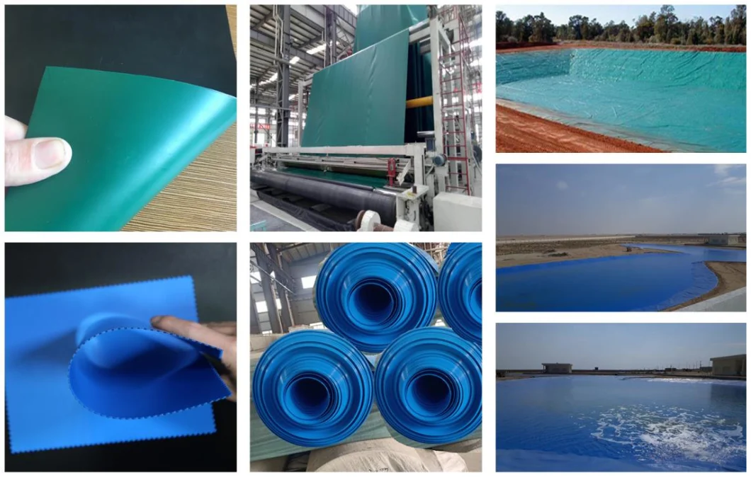 Water-Proof Plastic LDPE/LLDPE/PVC/HDPE Geomembrane for Prawn Pond Liner Factory Price