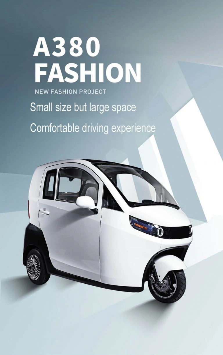 Hot Sell China Manufacture Electric Adult Raysince Mini Three Wheel Electric Car with EEC