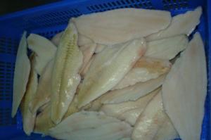 China frozen yellow fin sole fillet on sale 