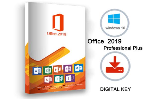 office professional plus 2019 vs office home and business 2019