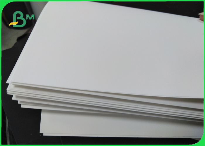 PET Synthetic paper