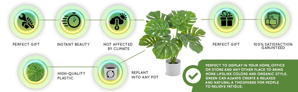 Monstera Features