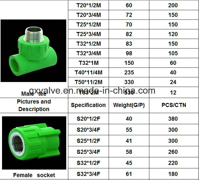OEM PPR Pipe Fitting Coupling Elbow Tee Green White Pipe Fittings for Hot Water