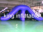 Glissières d'eau gonflables extérieures imperméables, PVC commercial de diapositive 0.9mm de piscine d'eau