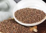 Brown Colorperilla Seed Natural Agricultural Products From Heilongjiang
