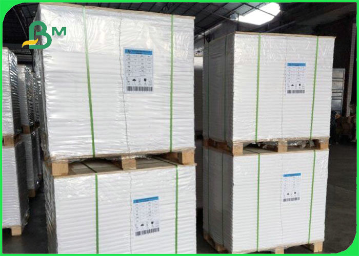 Waterproof 70gsm 80gsm + 10g PE Coated Offset Printing Paper For Packaging