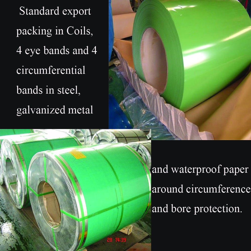 0.5mm export standard type ppgi/PPGL/ppgi coil/color coated steel coil