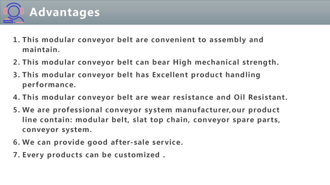 Modular Plastic Conveyor Belt Manufacturers Module Belt