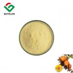 Food grade CAS 95298-47-8 rosa roxburghii fruit extract VC 8%