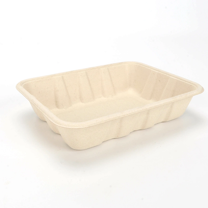 Biodegradable Environmentally Friendly Disposable Lunch Box for Salad Fruits Ntqw95025 Ut175