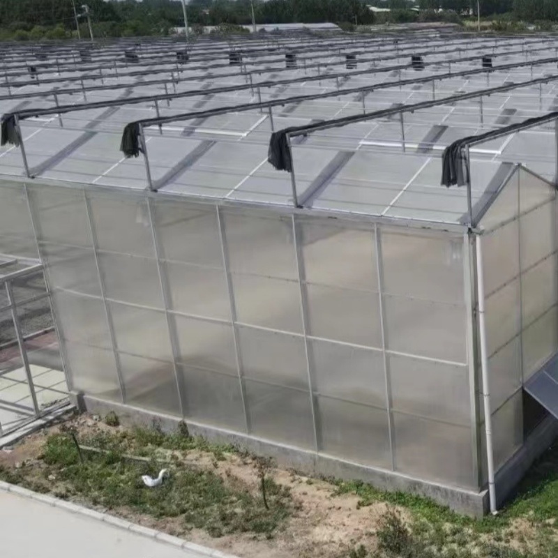 Large Size Commercial and Agricultural Venlo PC Polycarbonate Greenhouse