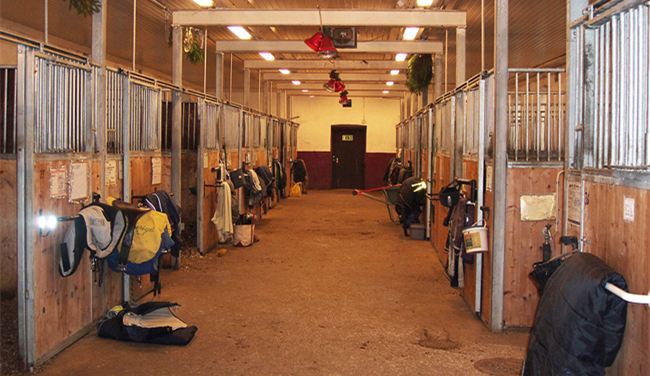 Modern Steel Horse Stalls , No Sharp Edges Safety Metal Horse Stall Gates