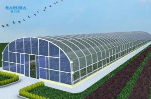China Powerful Hot Dip Plastic Sheeting Greenhouse UV Treated 48mm on sale 