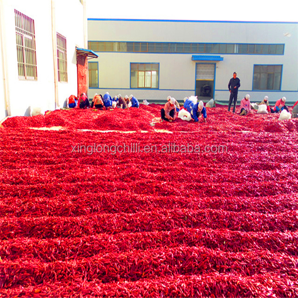 Neihuang dehydrated red hot pepper chillies factory