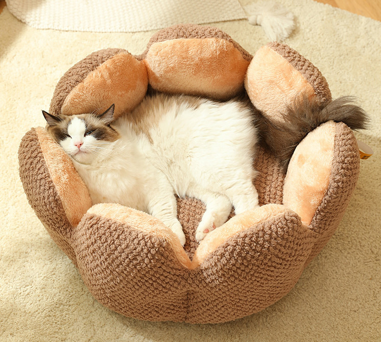 fat cat bed