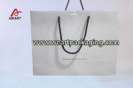 Luxury Paper Shopping Bag , Ribbon Tie Personalized Gift Bags With Handles