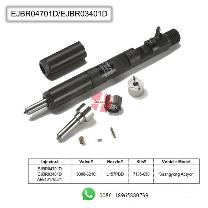 common rail injector delphi EJBR04101D 