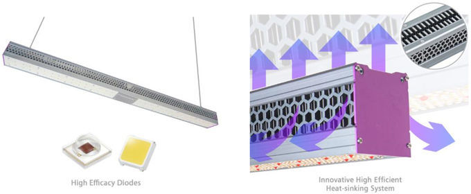Greenhouse LED Grow Lights Efficient And Powerful Ip65 Commercial Indoor Plant Led Grow 0