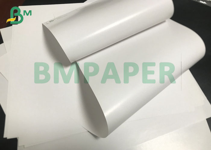 Double Sided Gloss Coated 55gsm 60gsm C2S LWC Paper Rolls for Book Inserts