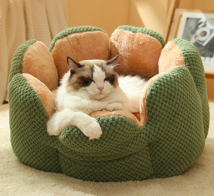 a cat bed